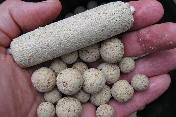 JRC - 969959101529214367351641803846281n.jpg